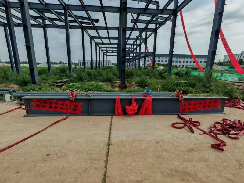 Yongcheng Xingye Steel Construction Company pospešeno gradnjo delavnice hrane Hebei Bosheng