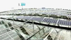 Steel Structure Greenhouse